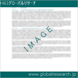 グローバルリサーチ調査レポートのイメージ